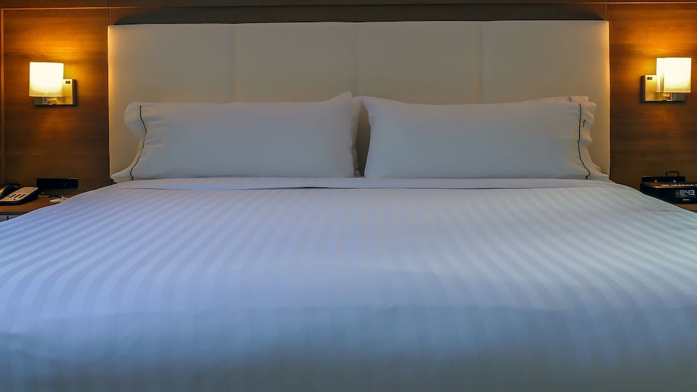 Standard Room, 1 King Bed, Accessible, Bathtub (Mobility, Airport View) photo 2