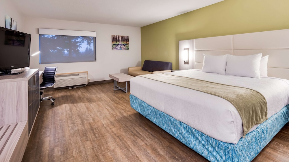 Standard Room, 1 King Bed, Non Smoking, Refrigerator & Microwave (with Sofabed) photo 2