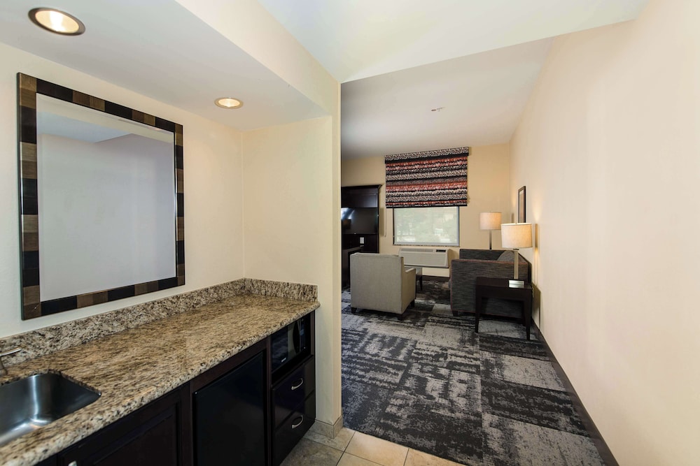 Suite, 1 King Bed, Accessible, Non Smoking - Photo 6