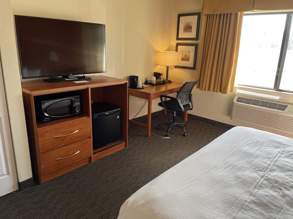 Room, 1 King Bed, Accessible, Non Smoking photo 2