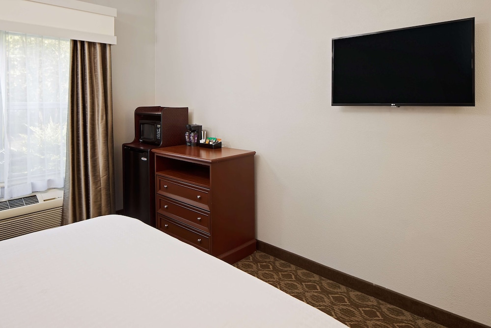 Room, 1 Queen Bed, Accessible (Roll-in Shower, Nonsuite) - Photo 3