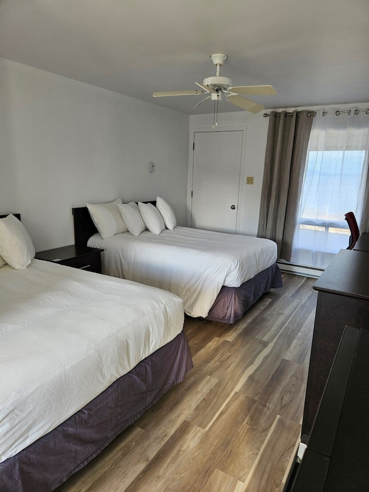 Basic Room photo 1