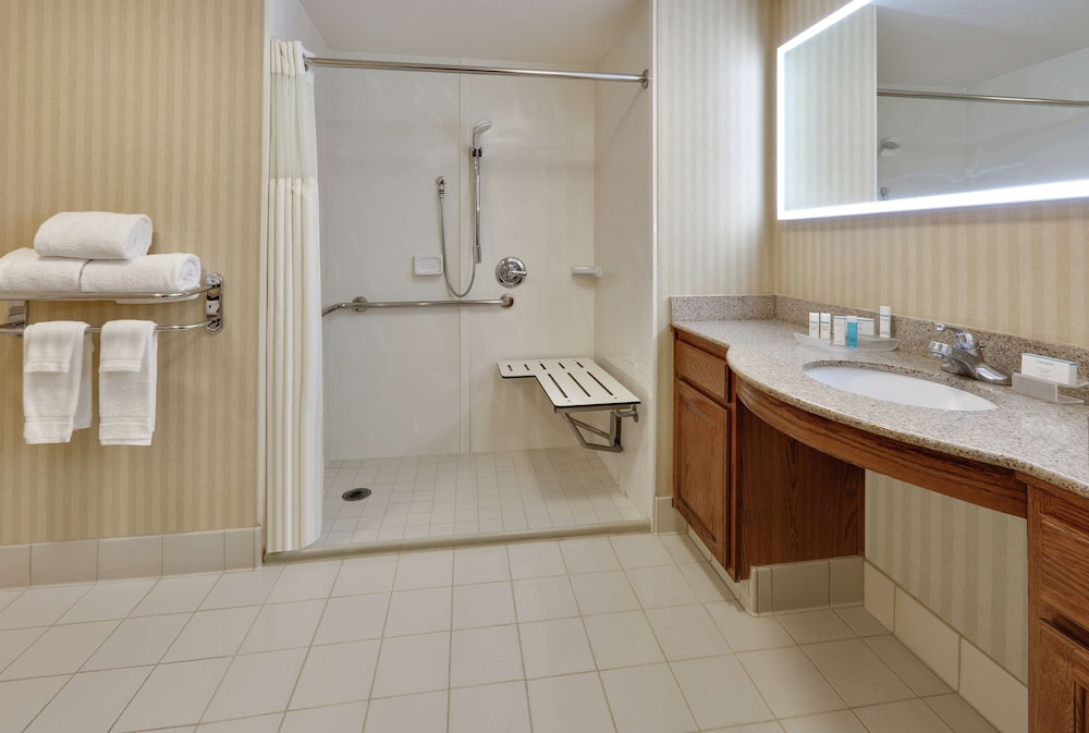 1 King, One Bedroom Suite, Hearing Accessible w/sleeper sofa