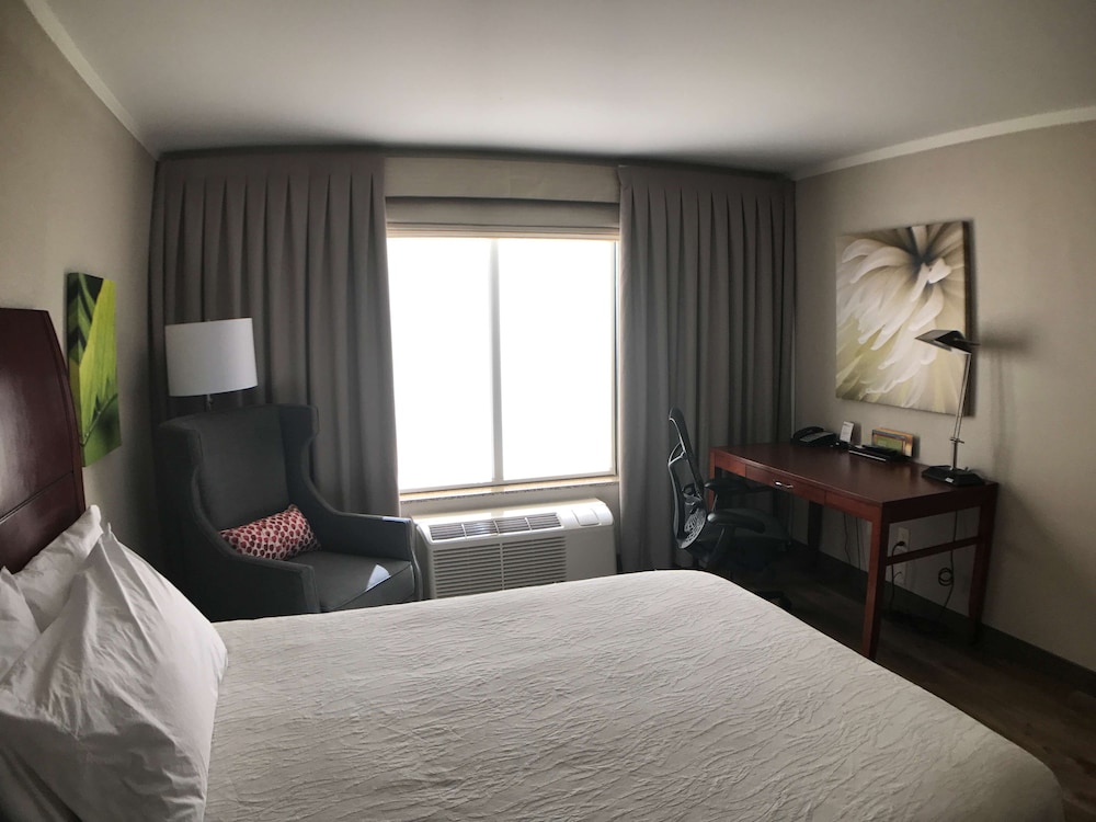 Room, 1 King Bed photo 2