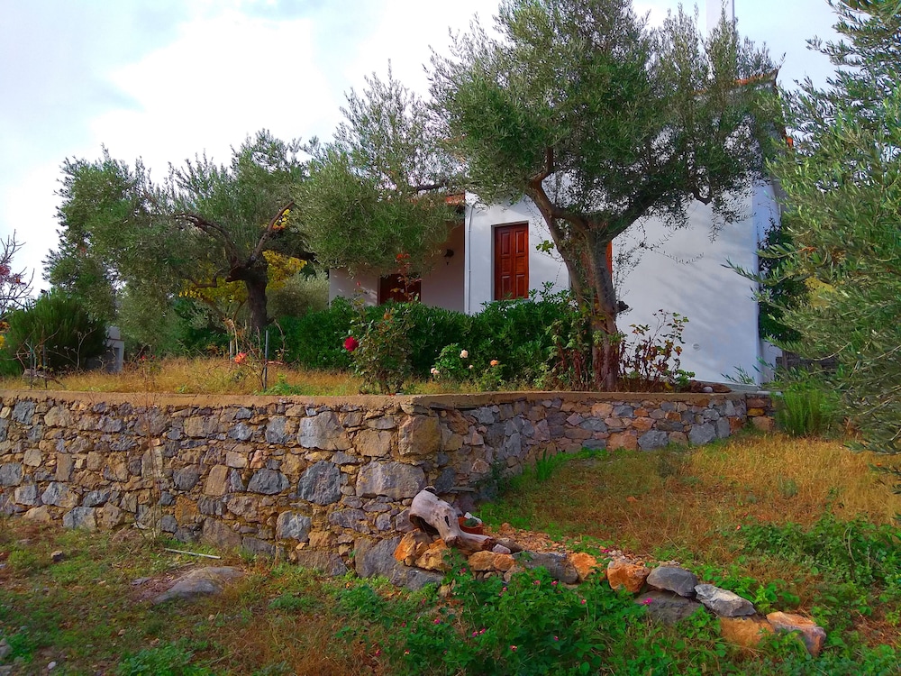 Basic House (Jasmine) photo 2