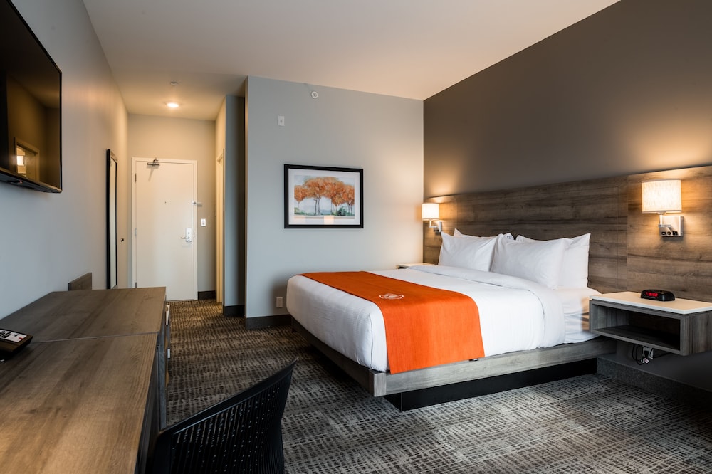 Standard Room, 1 King Bed, Non Smoking photo 1
