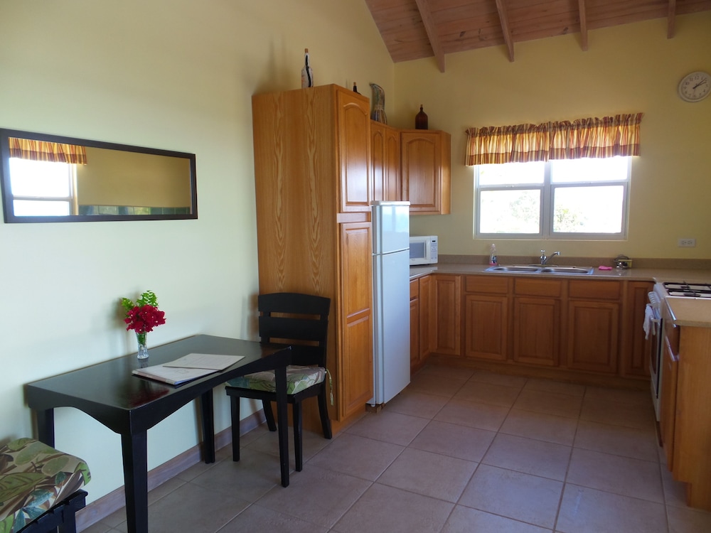 Standard Apartment, 1 Bedroom, Kitchen, Ground Floor photo 2