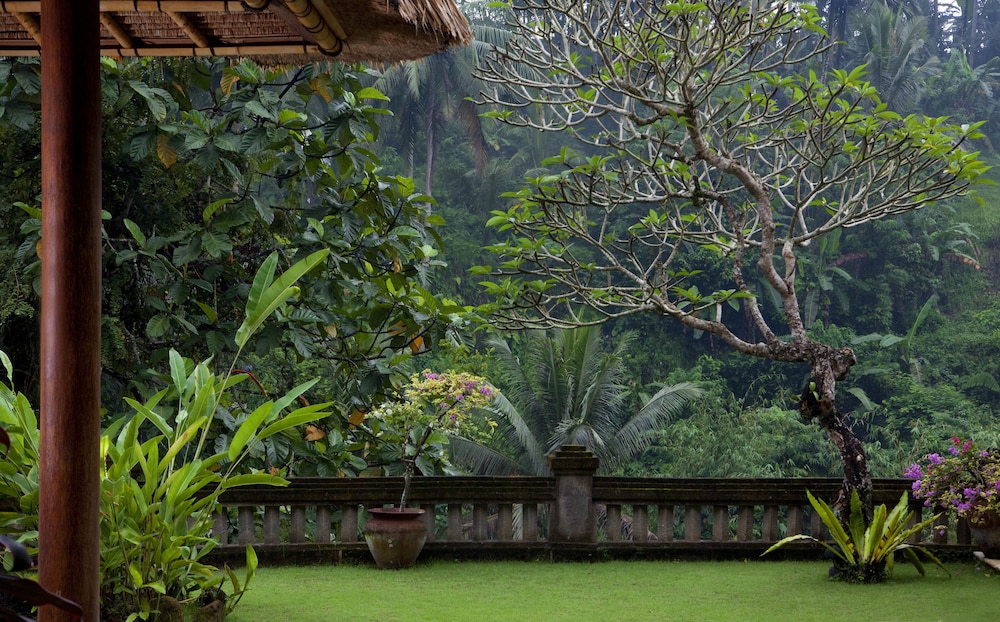 Elephant Pool Villa thumbnail 5