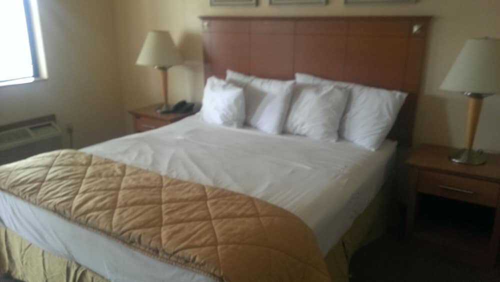 Room, 1 King Bed photo 1