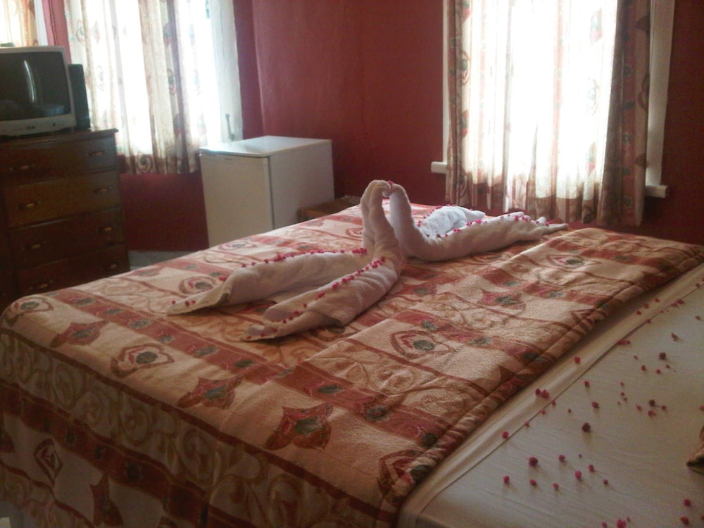 Room, 1 Queen Bed photo 3