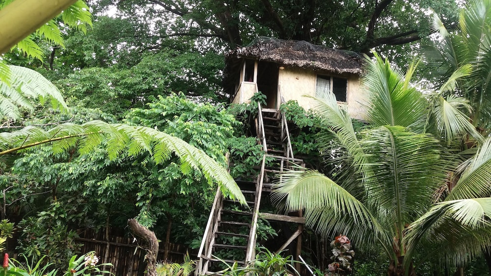 Traditional Tree House, 1 Bedroom, Smoking, Garden View photo 3