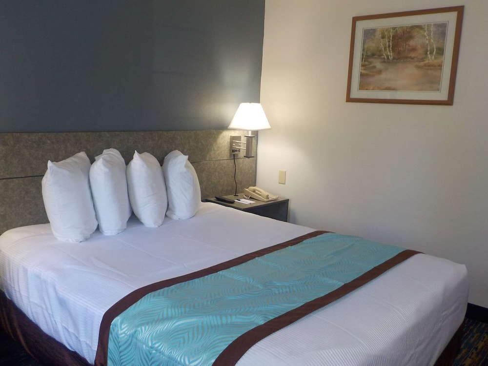 Standard Room, 1 Queen Bed, Accessible (Roll in Shower)  Non Smoking photo 3