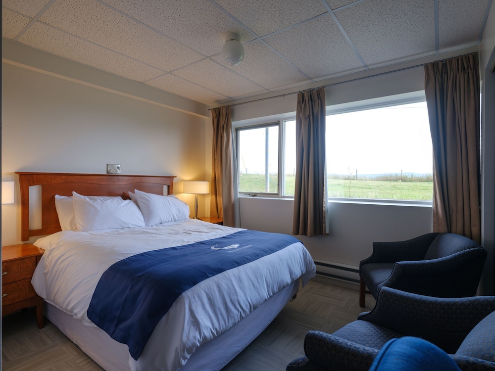 Economy Room photo 1