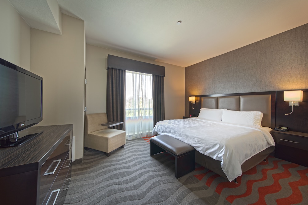 Standard Room, 1 King Bed, Accessible - Photo 4