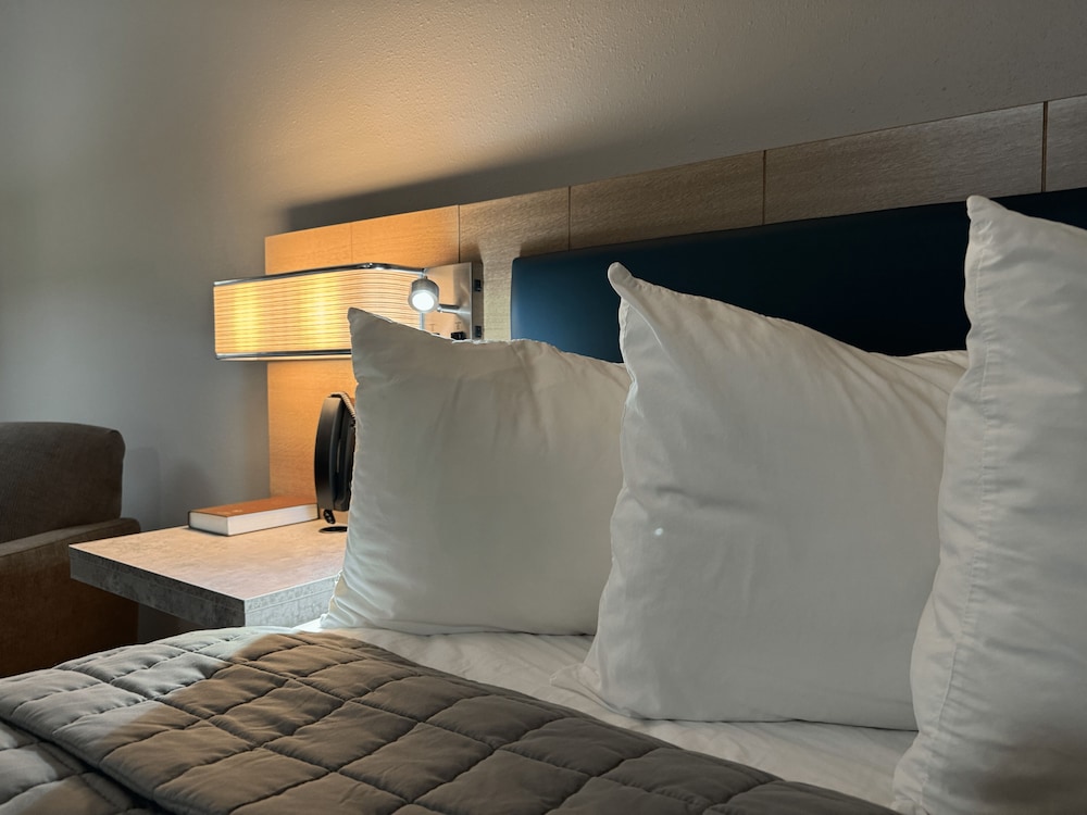 Standard Single Room - Photo 3