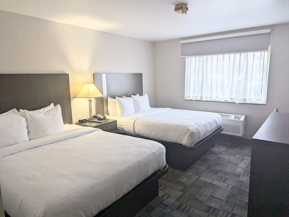 Studio Suite, 2 Queen Beds, Accessible, Bathtub photo 1