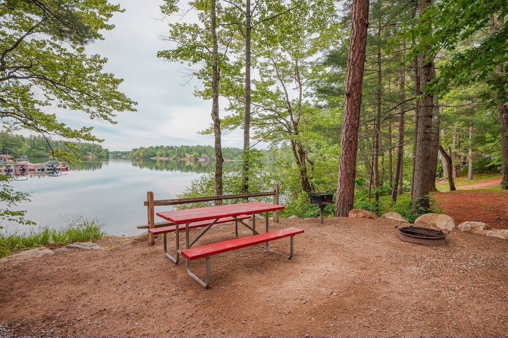 Basic Cabin photo 2