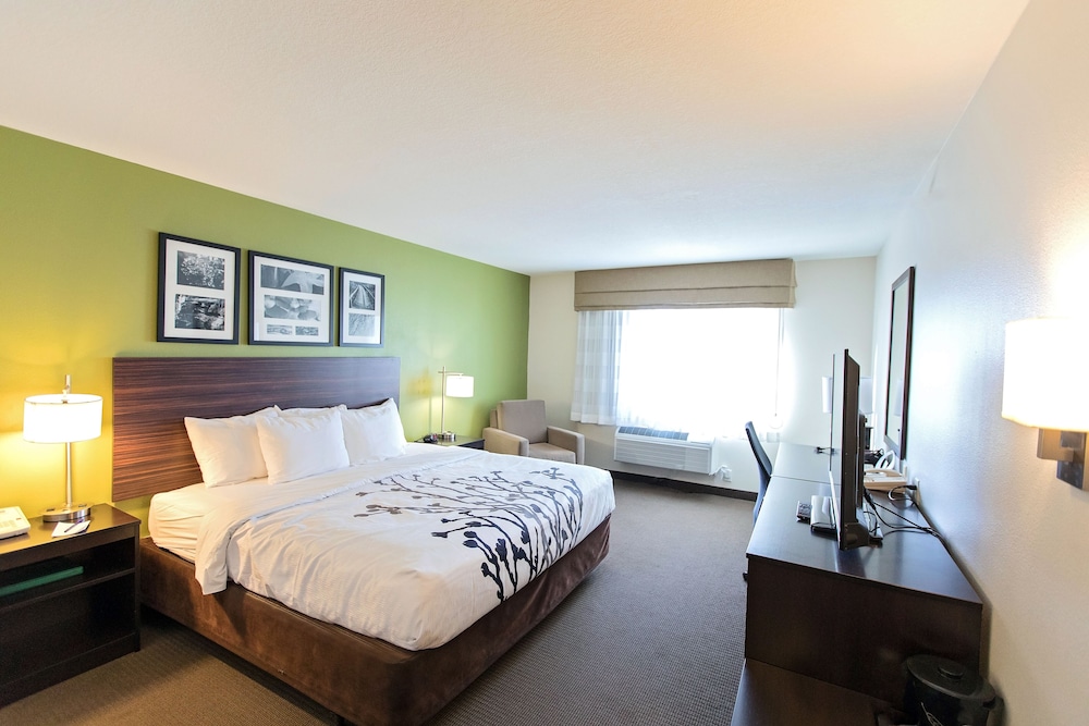 Standard Room, 1 King Bed, Non Smoking - Photo 3