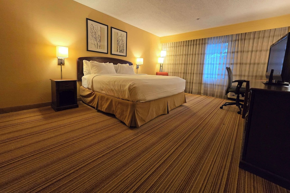 Suite, 1 King Bed, Non Smoking - Photo 6