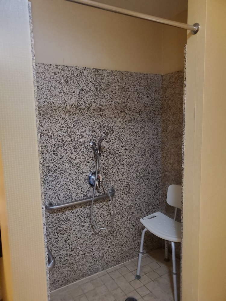 Suite, 1 King Bed, Accessible, Non Smoking (Roll-In Shower) - Photo 8