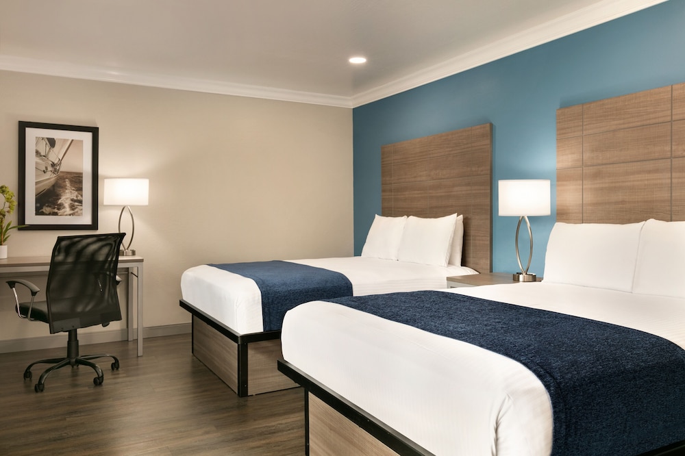 Signature Room - Photo 10