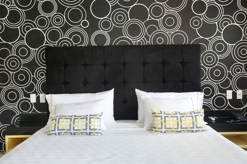 Suite - Photo 1