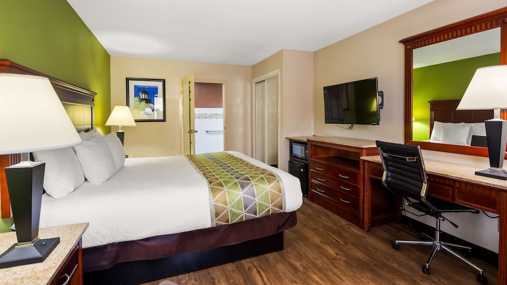 Standard Room, 1 King Bed, Accessible, Refrigerator & Microwave photo 3