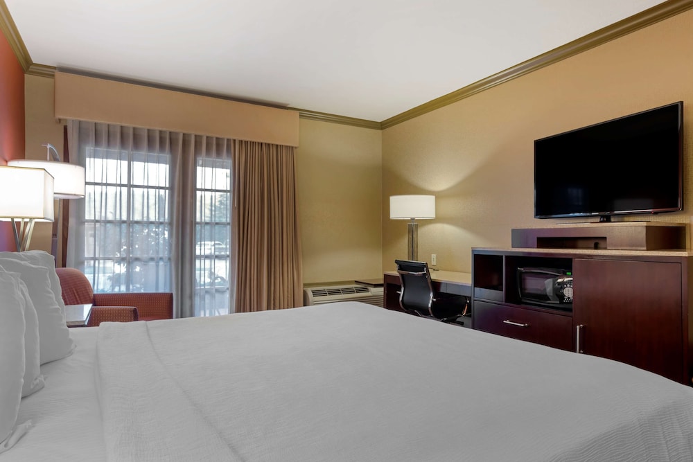 Standard Room, 1 King Bed, Non Smoking, Refrigerator & Microwave - Photo 4