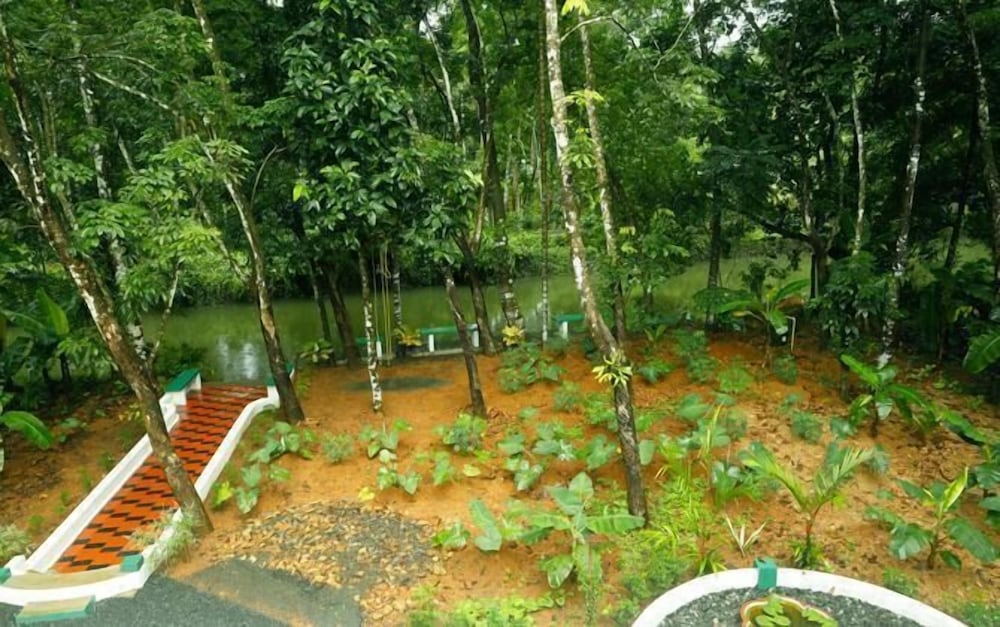 Family Double Room, 1 King Bed, Private Bathroom, River View photo 3