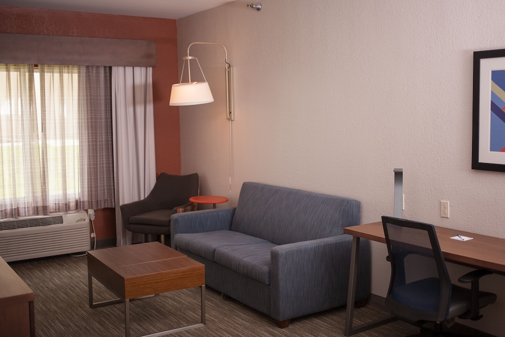 Suite, 1 King Bed with Sofa bed photo 1