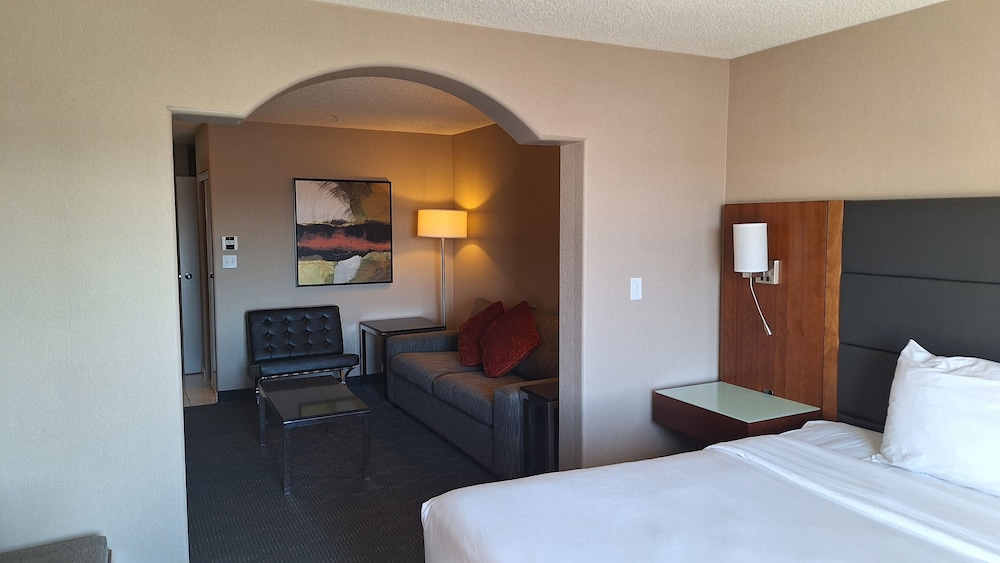 Studio Suite, 1 King Bed with Sofa bed photo 2