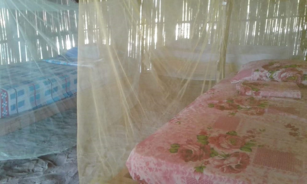 Exclusive Bungalow, Multiple Beds, Ocean View photo 1