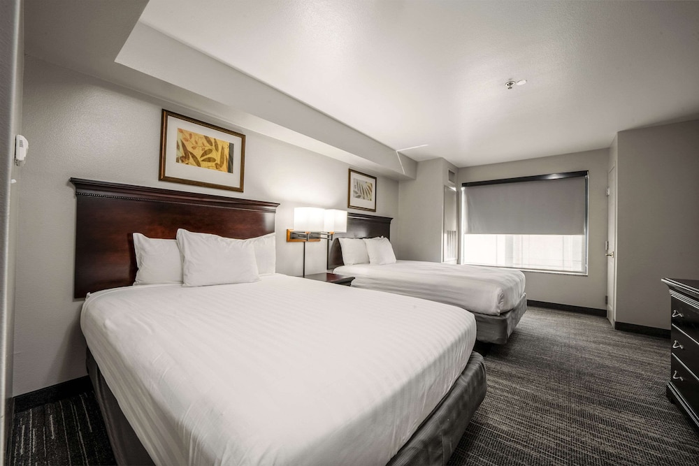 Suite, 2 Queen Beds, Non Smoking (Extended Stay) - Photo 9