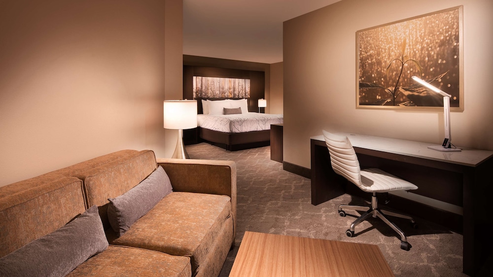 Suite, 1 King Bed, Non Smoking, Refrigerator & Microwave (with Sofabed) photo 2