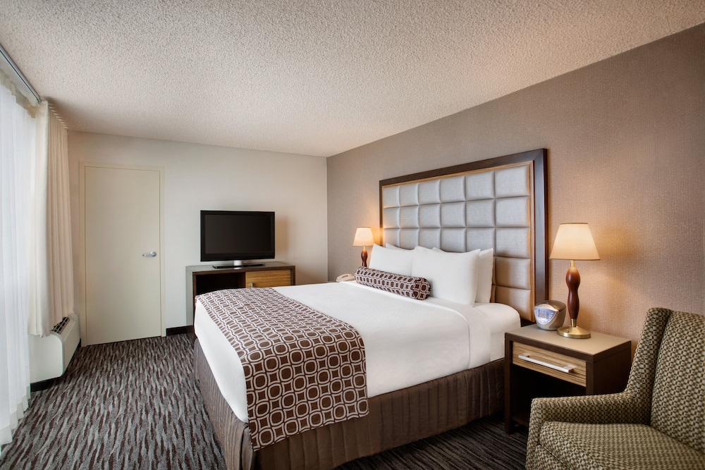 Suite, 1 Bedroom