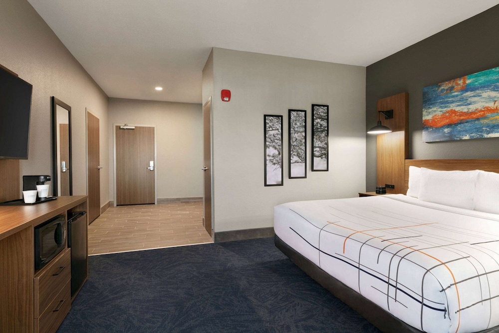 Room, 1 King Bed, Accessible, Non Smoking (Mobility/Hearing, Roll-In Shower) - Photo 1