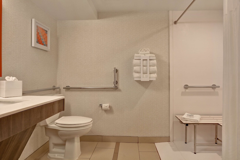 Room, 1 King Bed, Accessible, Non Smoking (Roll-In Shower) - Photo 11