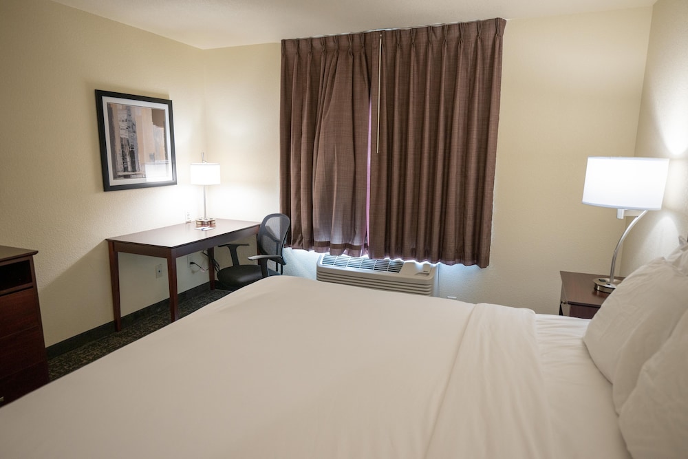 Room, 1 King Bed, Accessible, Non Smoking (Guestroom) - Photo 6