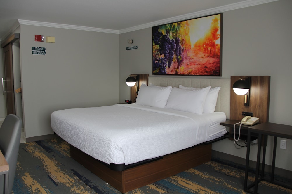 Room, 1 King Bed, Non Smoking - Photo 6