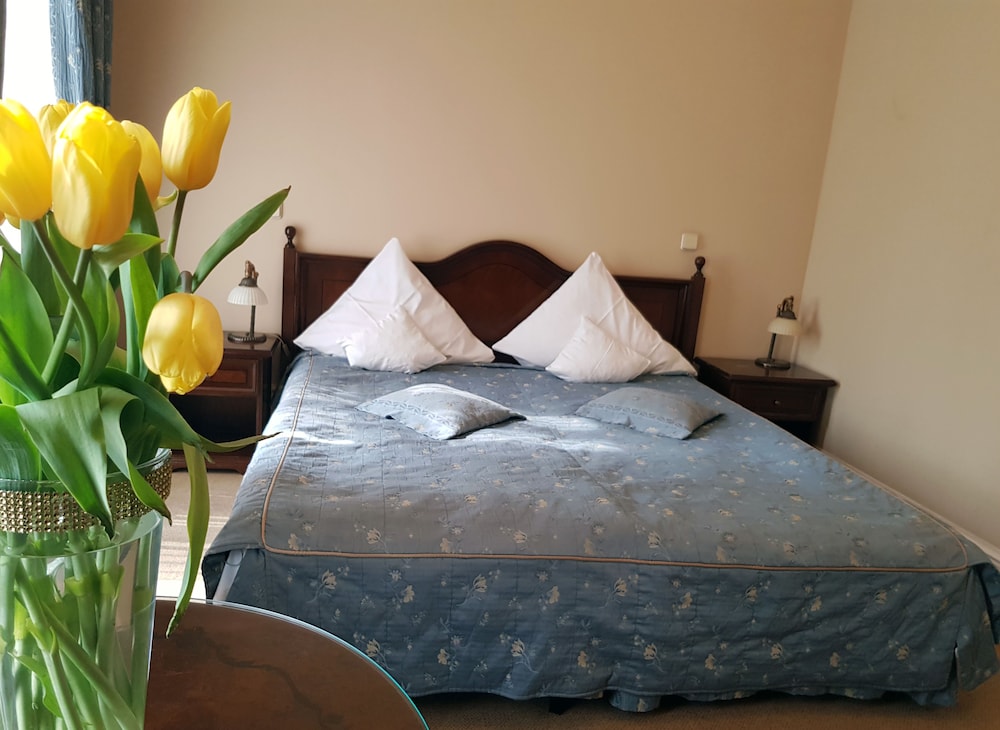 Comfort Double Room photo 1