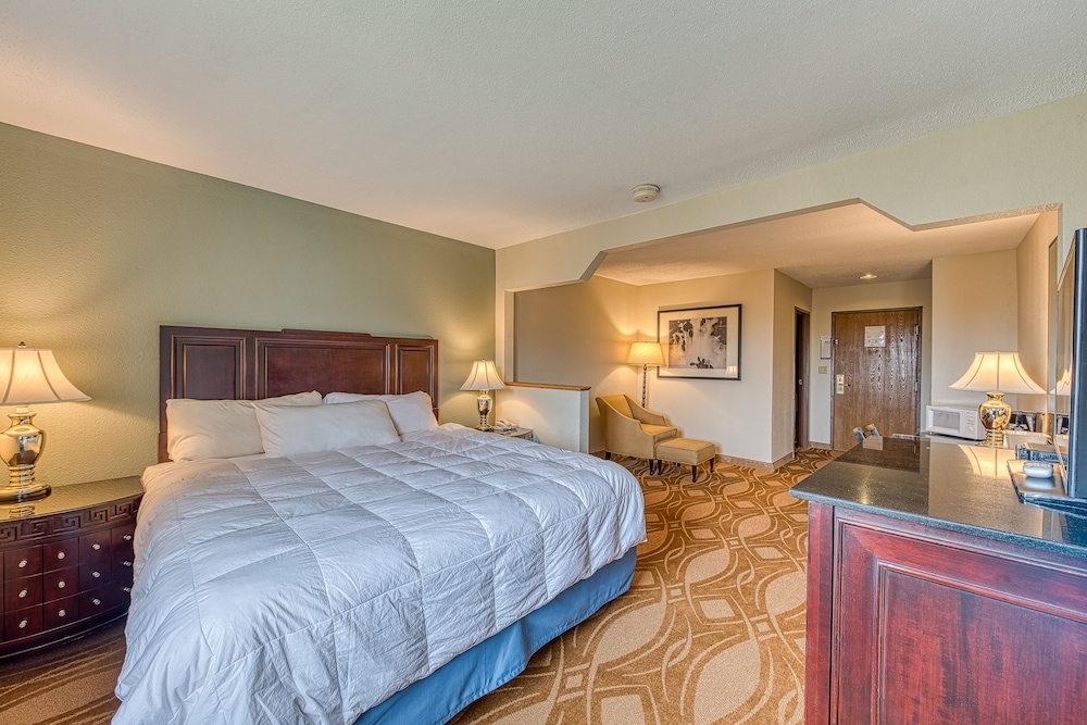 Basic Single Room photo 2