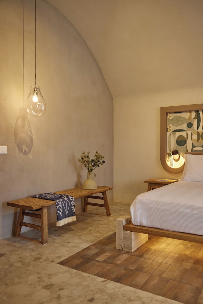 Superior Suite with Plunge Pool - Photo 8