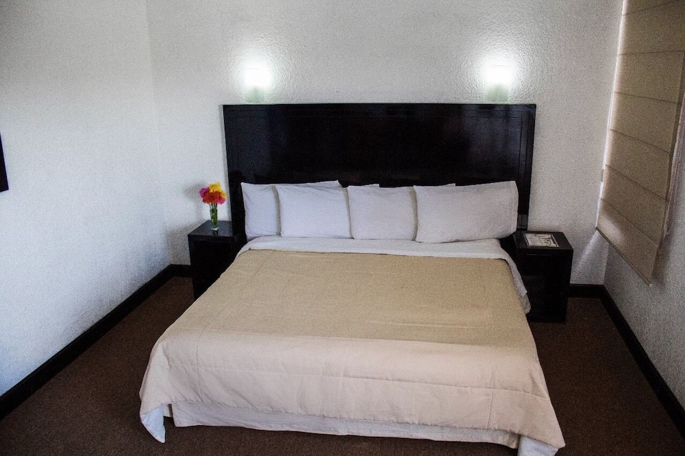 Room, 1 King Bed photo 2