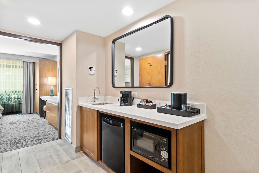 Suite, 1 King Bed, Accessible (Roll-in Shower) - Photo 4