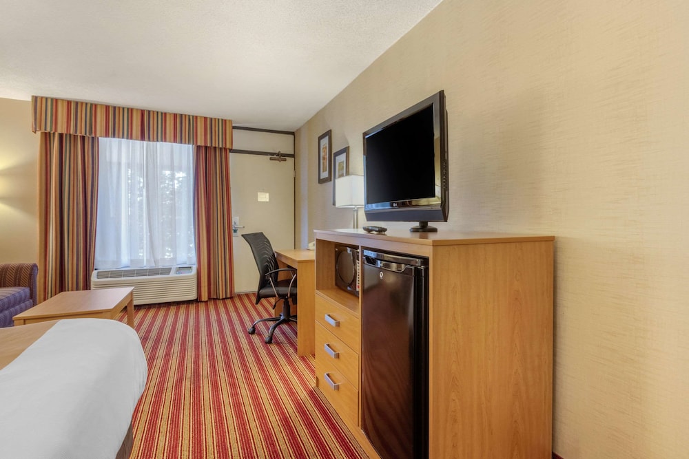 Standard Room, 1 King Bed, Smoking - Photo 7