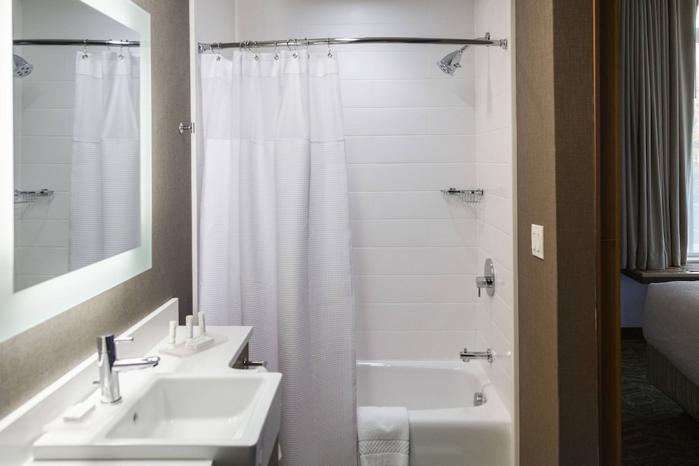 Studio, Multiple Beds (Mobility/Hearing Access, Roll-In Shwr) photo 2