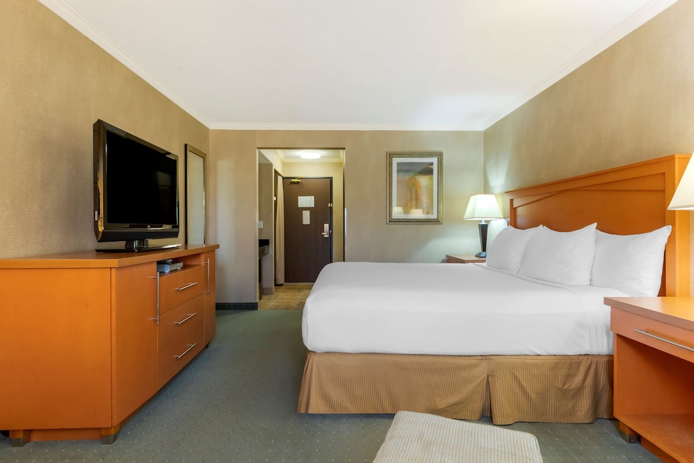 Standard Room, 1 King Bed, Non Smoking, Refrigerator & Microwave photo 3