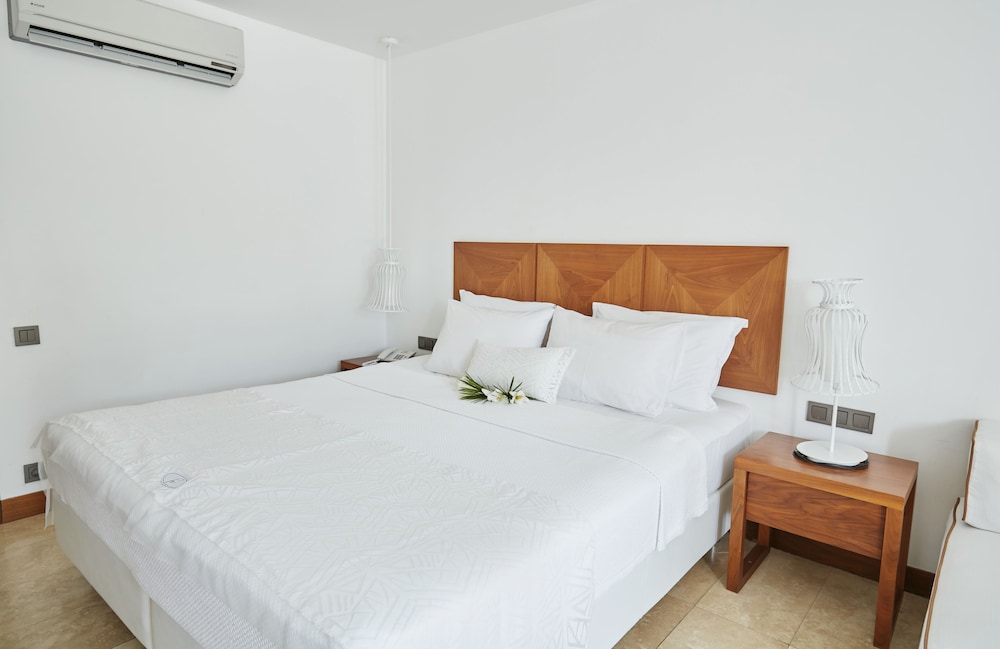 Deluxe Double Room Single Use photo 2