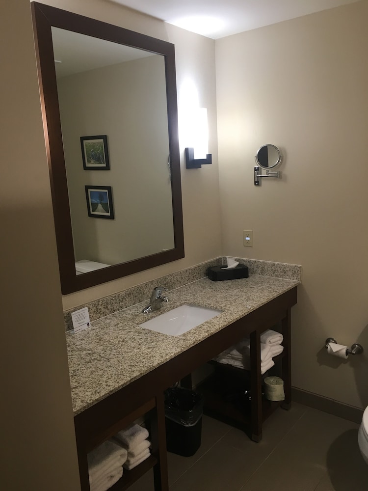 Suite, 1 King Bed - Photo 18