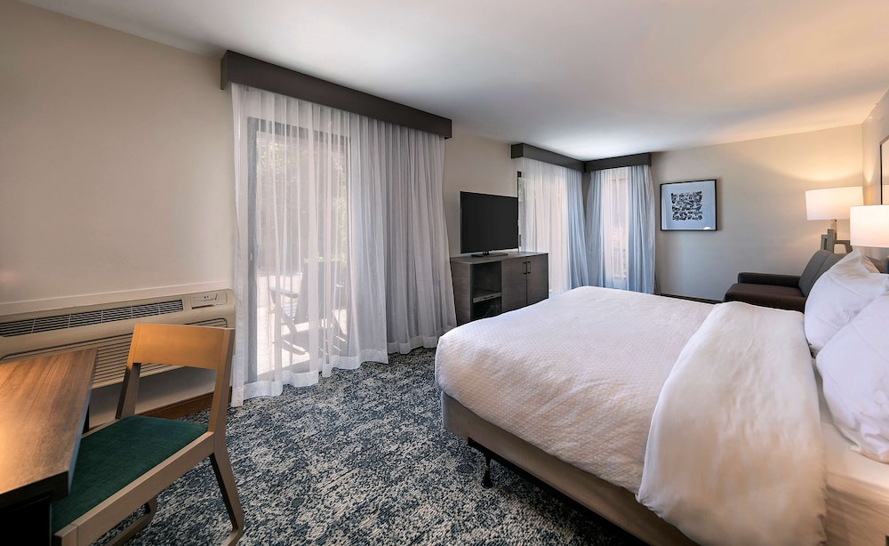 Room, 1 King Bed, Accessible, Bathtub (Hearing)